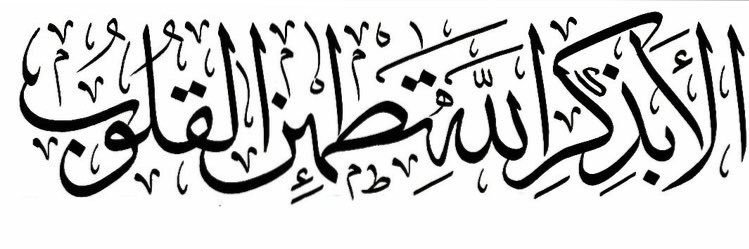 Shahddona's profile banner image