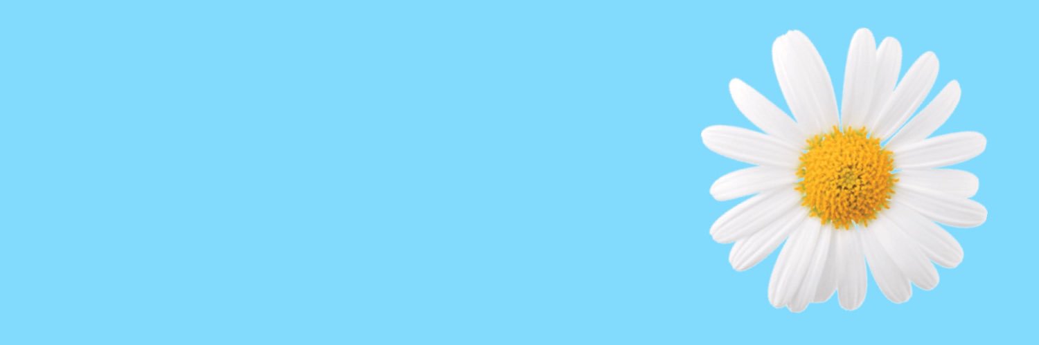 ちり banner