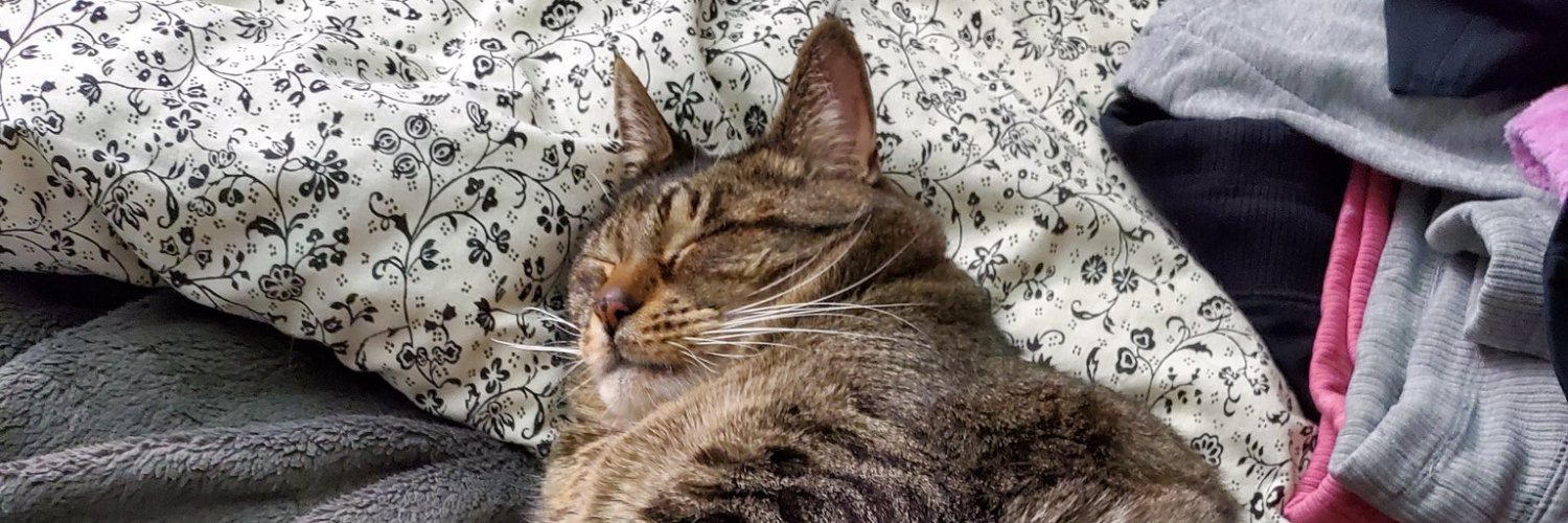 John Kearsley IV banner