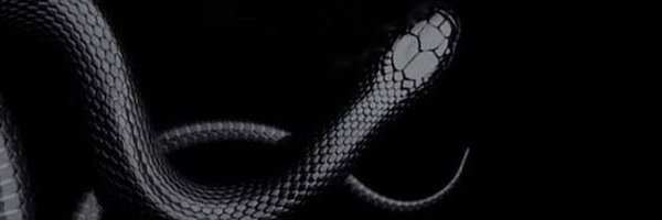 hismuse__ Profile Banner