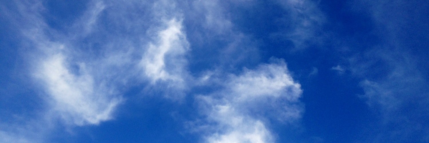 MiddletonHCHS's profile banner image
