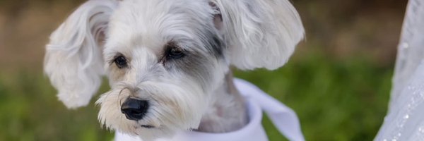 jbhowe3681 Profile Banner