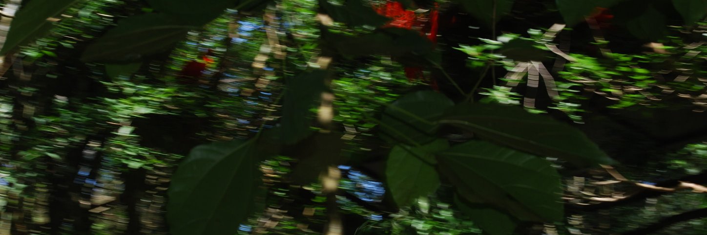 malumoreno2010's profile banner image