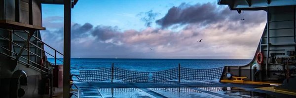 srtcat22 Profile Banner