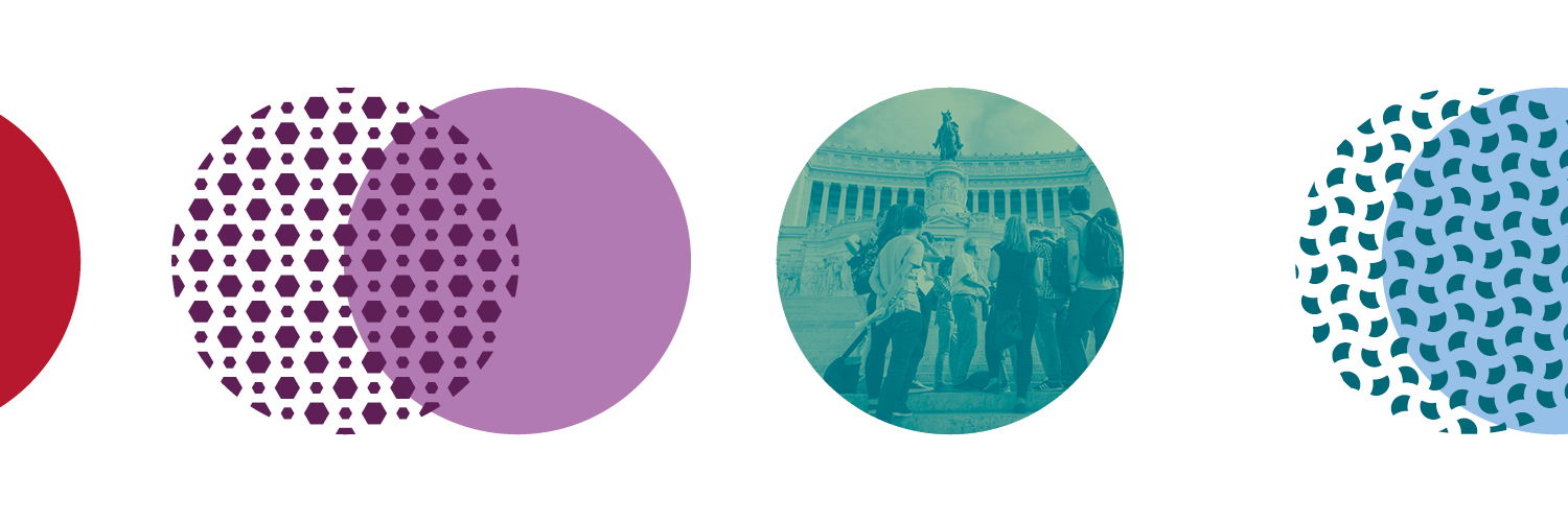 Max Weber Stiftung banner