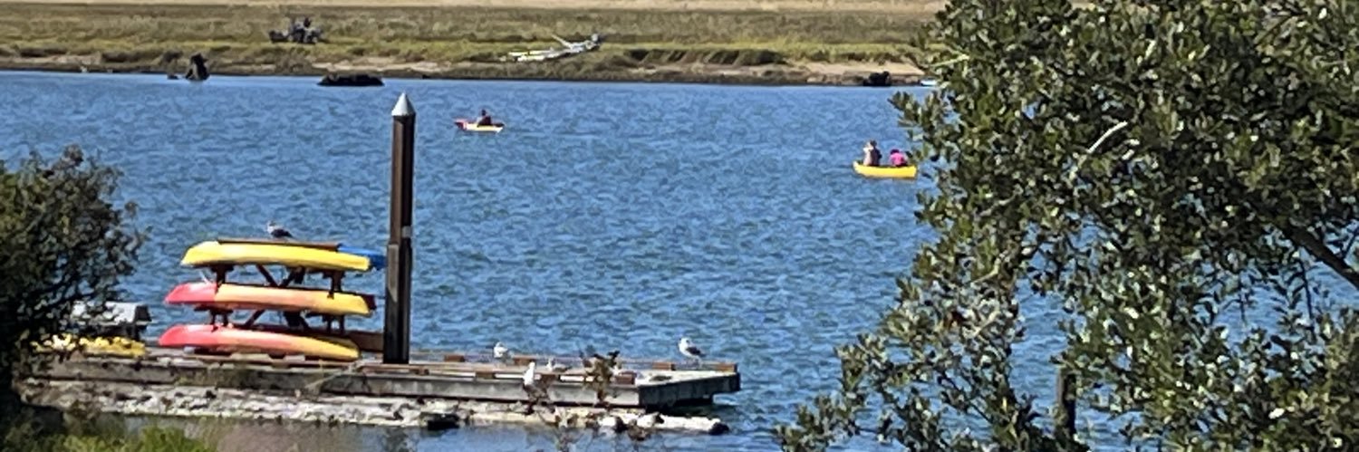 Kei 💜🐥🐰🤭サポーター banner