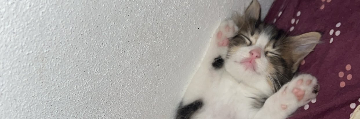 cuadra_ronaldo_xd banner