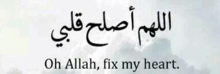 مٌ| ١٩٩٧ banner