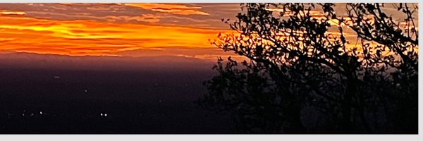 HadkulaTiger1 Profile Banner