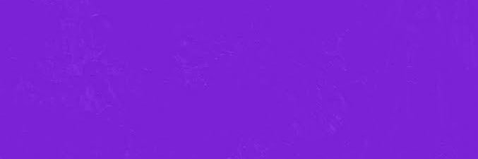 釘ぬこ🐈‍⬛🌹 banner