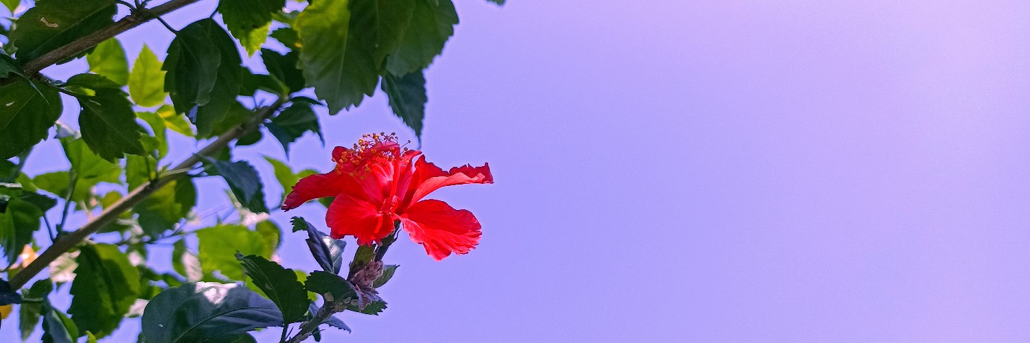 Shivang Shrivastava's banner