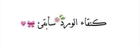 aljam7ah's profile banner image