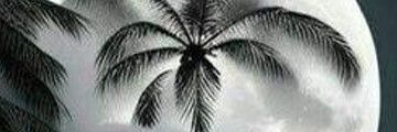 wendyerume's profile banner image