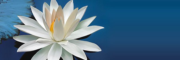 tituokha Profile Banner