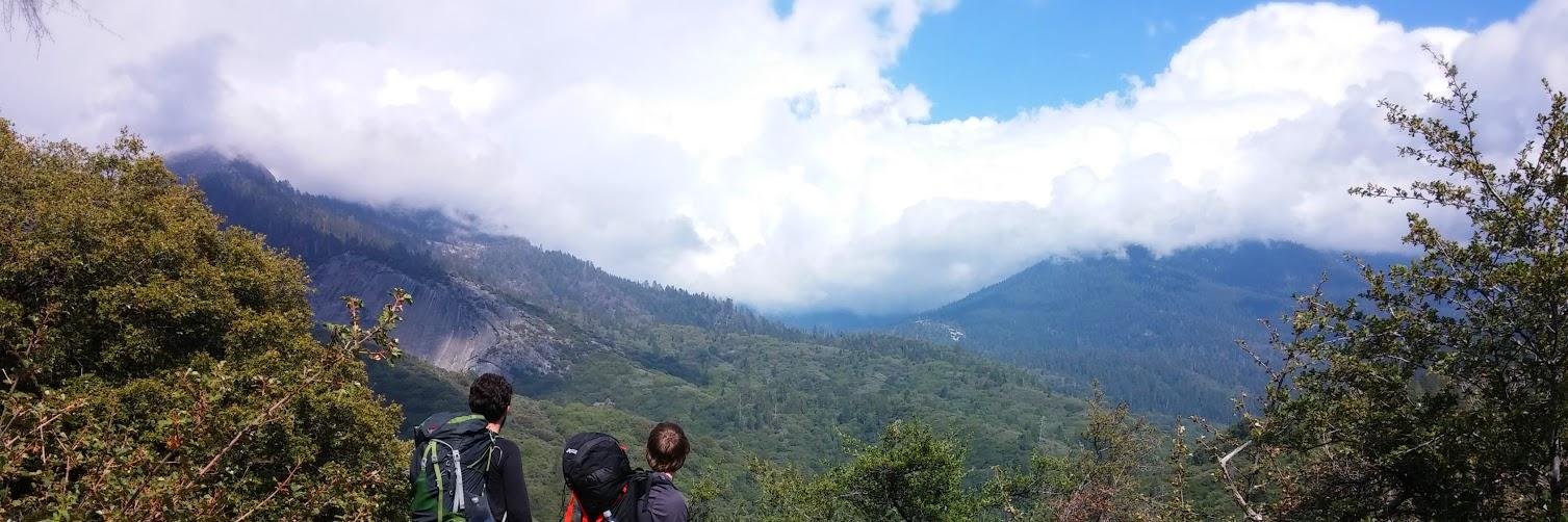 Anguel Roumenov banner