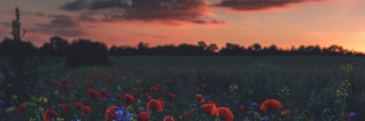 Jonathan_21093's profile banner image