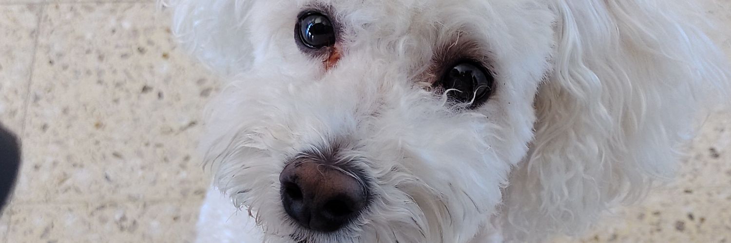 colmanfiama's profile banner image