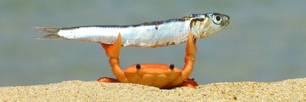 FredHuston Profile Banner