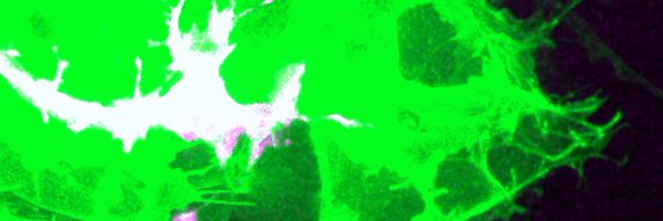Agnik85 Profile Banner