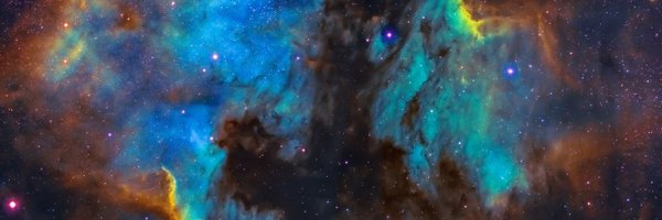 LongevityEVF Profile Banner