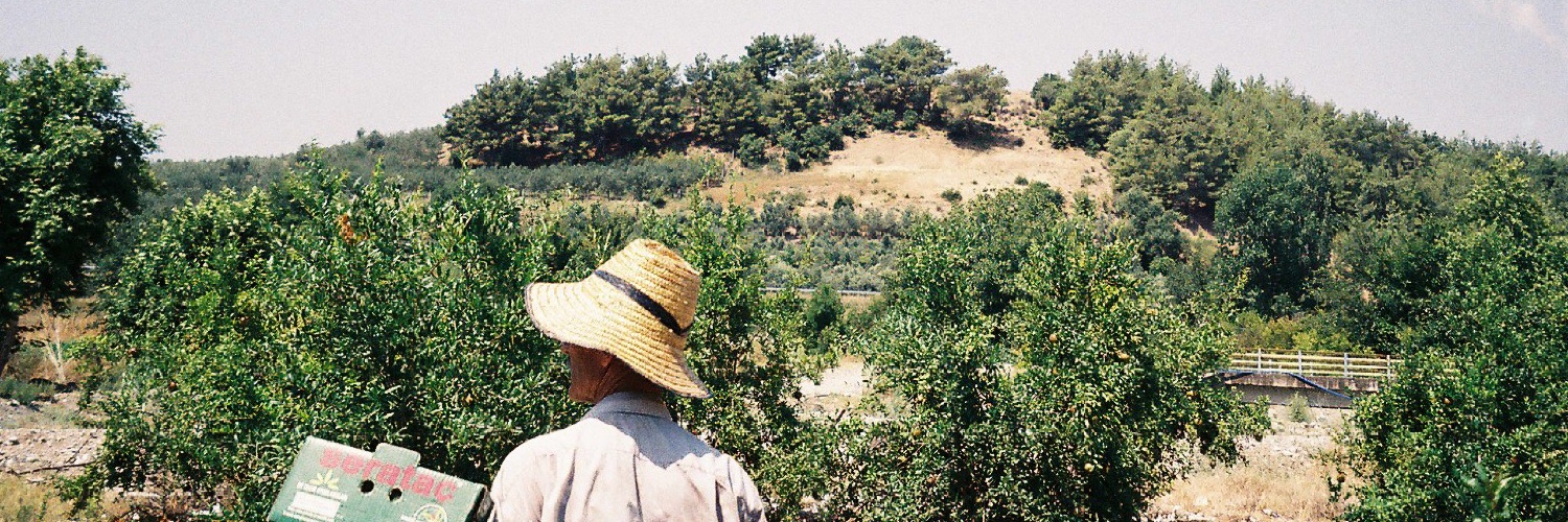 mahsulprojesi's profile banner image