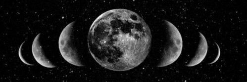 ☩ Rudwolf ☩ banner