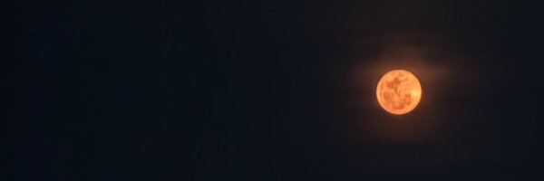 Kalabasaaaas Profile Banner