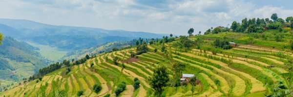 Green Gicumbi Project | Northern Rwanda Profile Banner