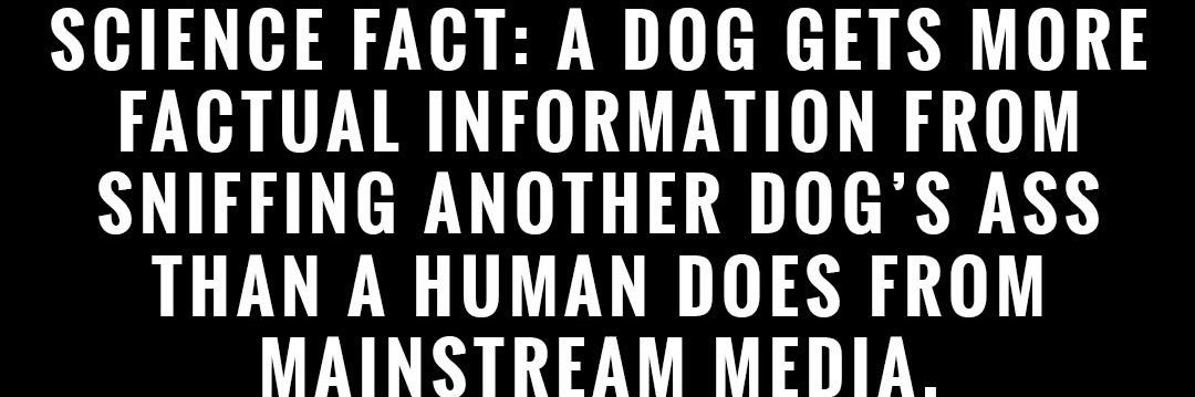 FoxyRoxy 🦊 banner