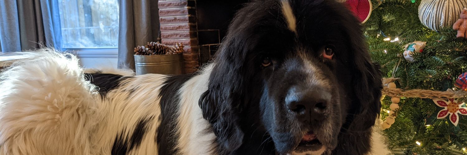 rileybroor's profile banner image