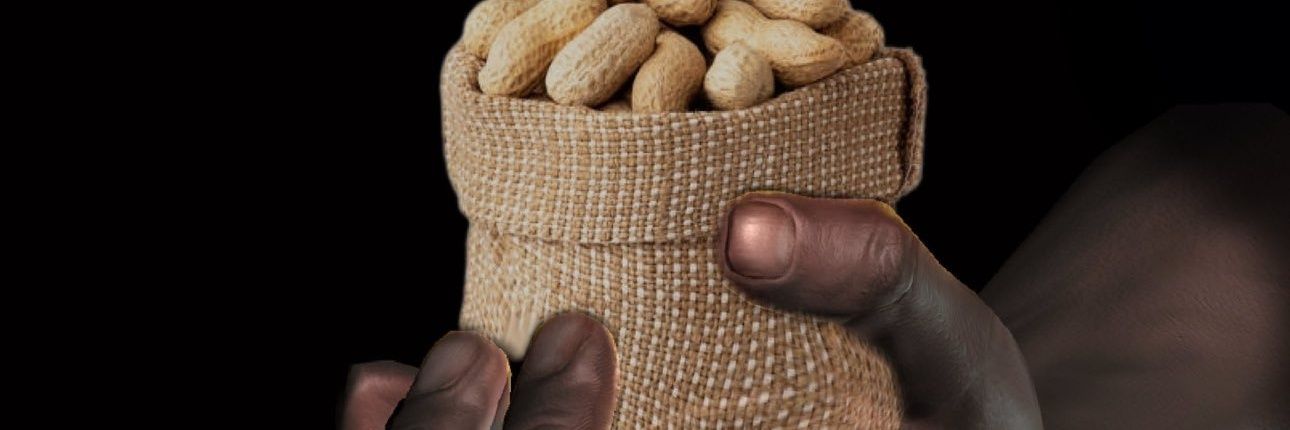 deezObigOnuts's profile banner image