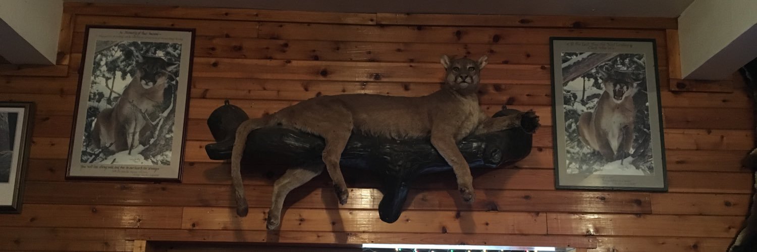 Mike Ethan Messick banner