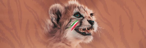 IliaHashemicom Profile Banner