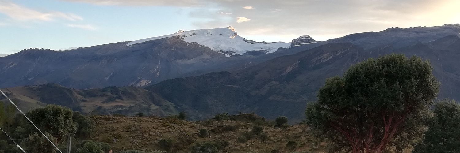 Ley2021's profile banner image