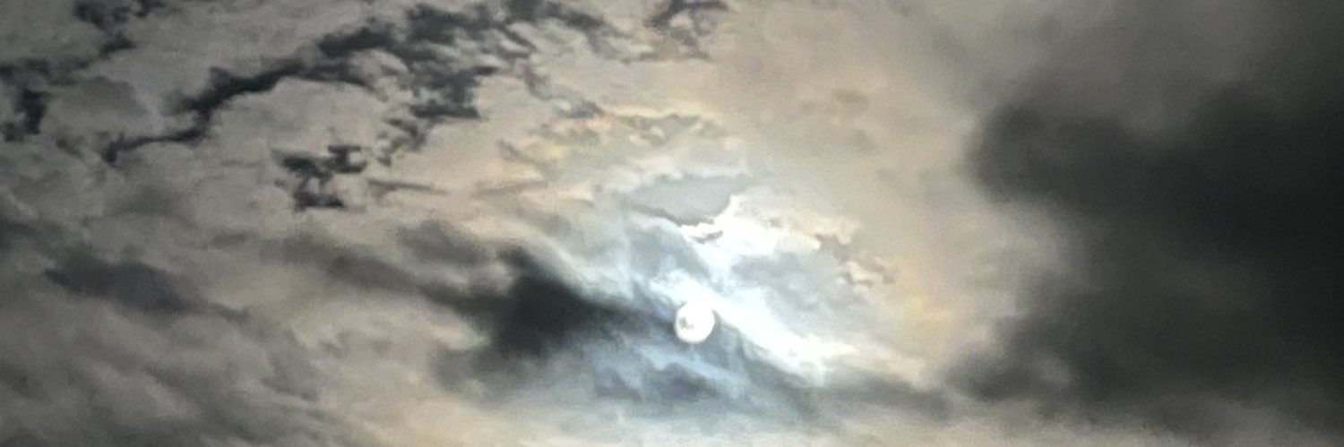 Quid Pro Moe's banner