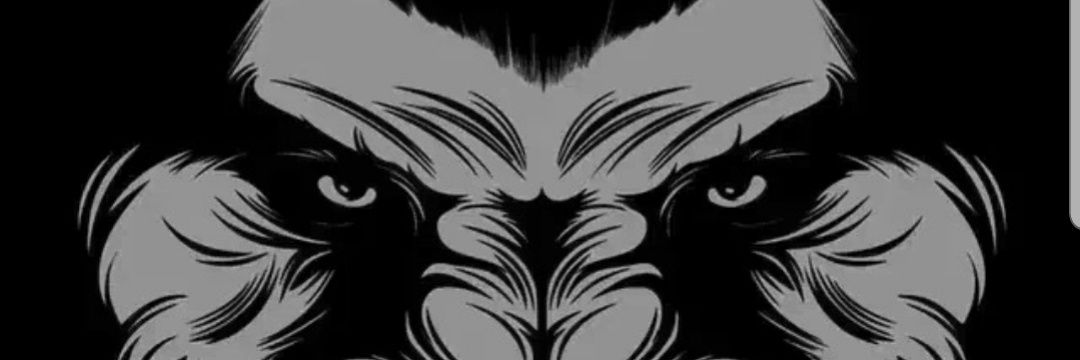 sseemmoo8's profile banner image