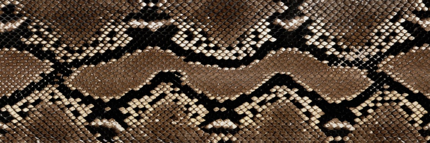 ajritj's profile banner image