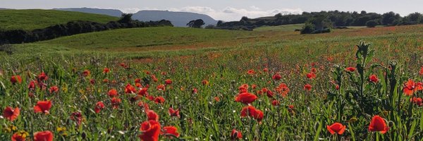 popolo_anthony Profile Banner