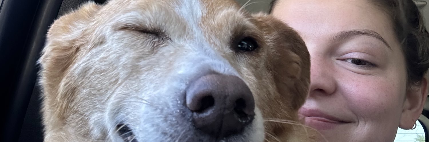 _kimrox's profile banner image