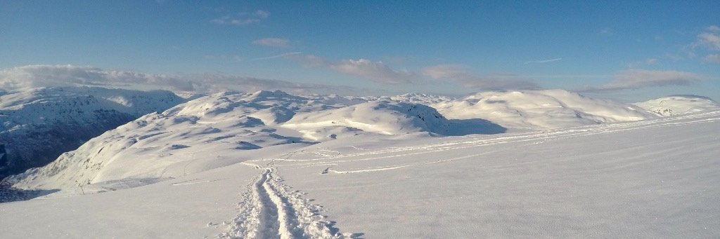 Christine Julia Feehan banner