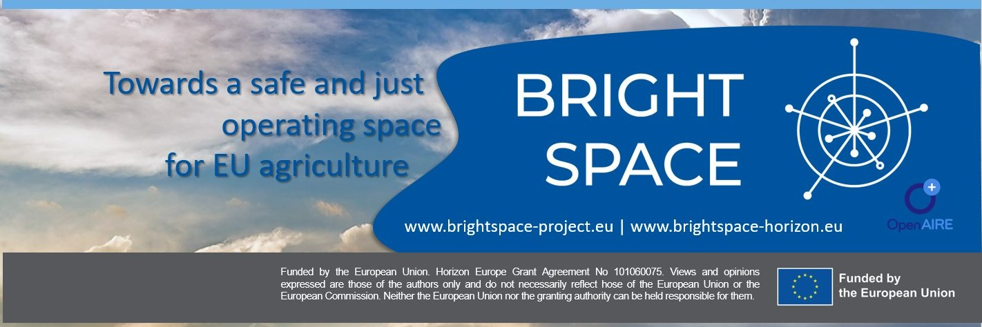 BrightSpace HE project brightspace-project.eu@bsky's banner