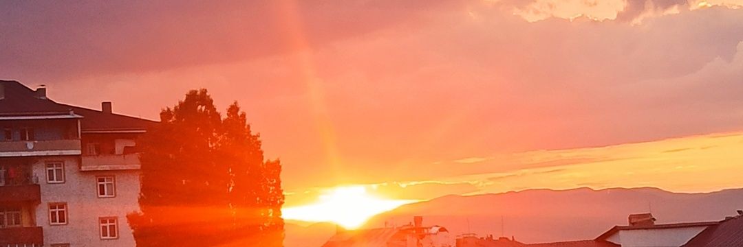 Beyzaa318's profile banner image