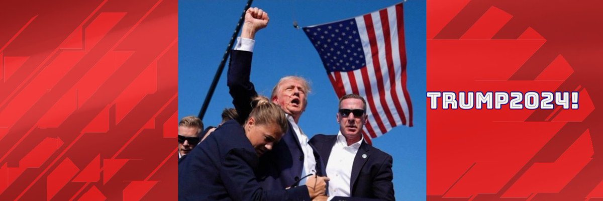Raging Goose banner