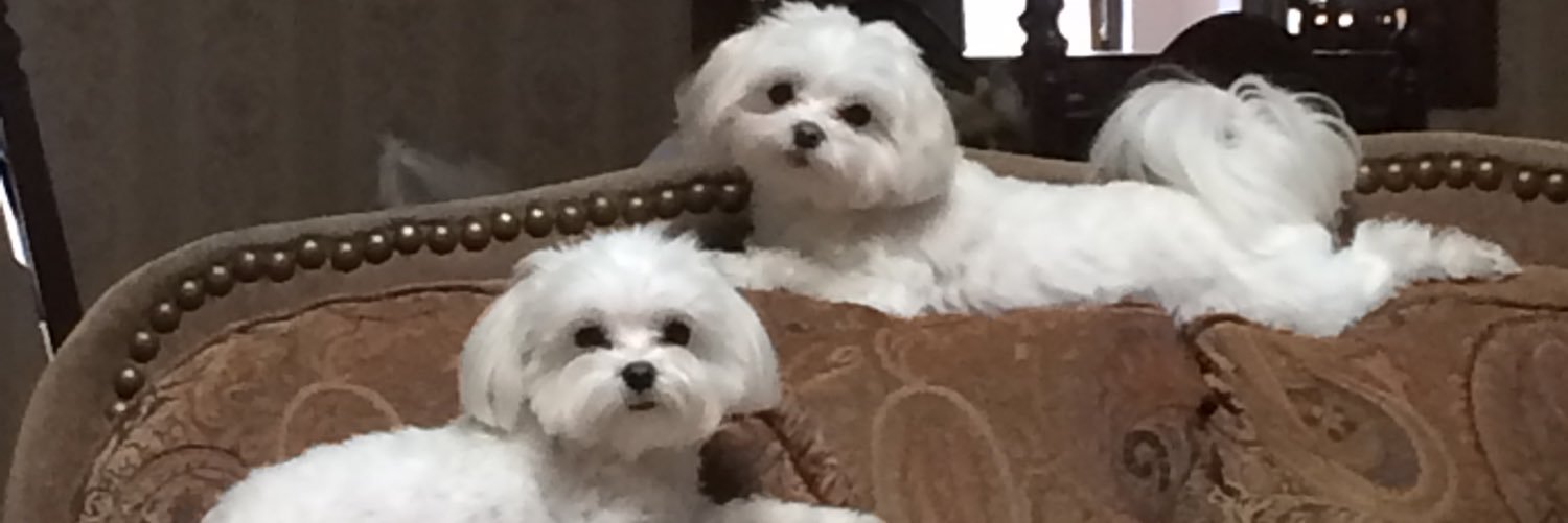 tjmac1067's profile banner image