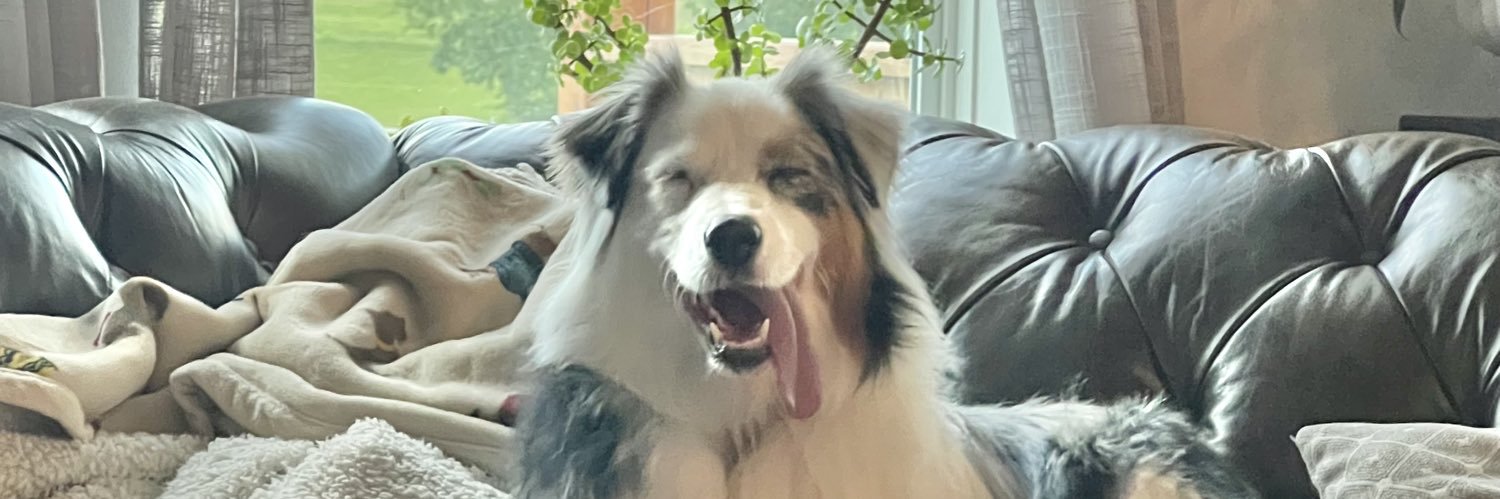 Jenny Collier banner