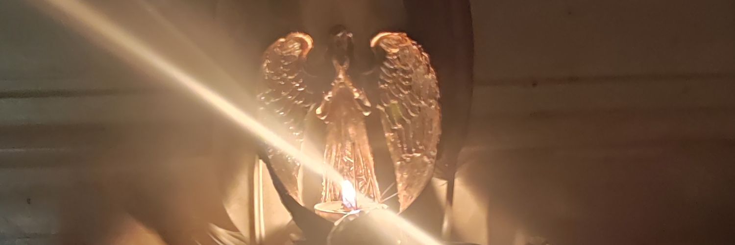 minooadine's profile banner image