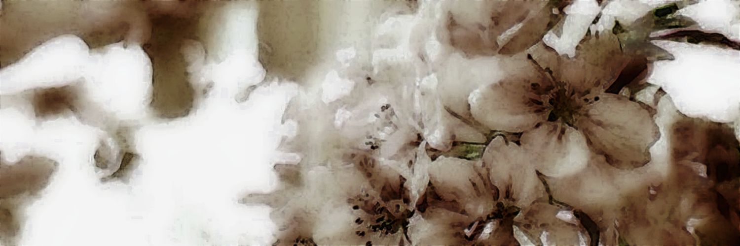 33A(ndria) 🌹's banner