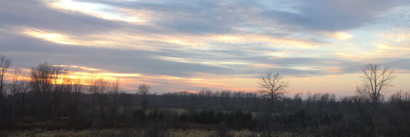 brennahessss's profile banner image