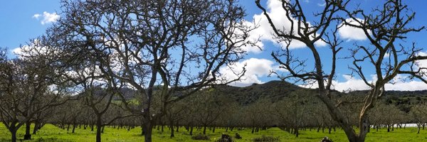 Ron_Dilley Profile Banner