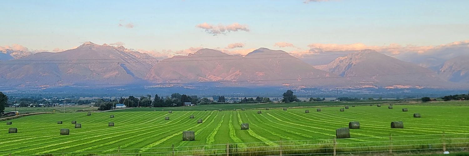 Montana Troutslayer banner